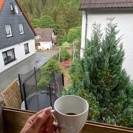 Ferienhaus Beautiful 1-bed House In Altenau